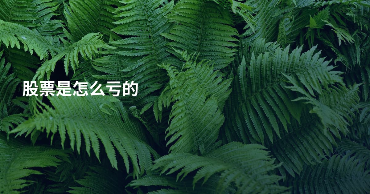 股票是怎么亏的