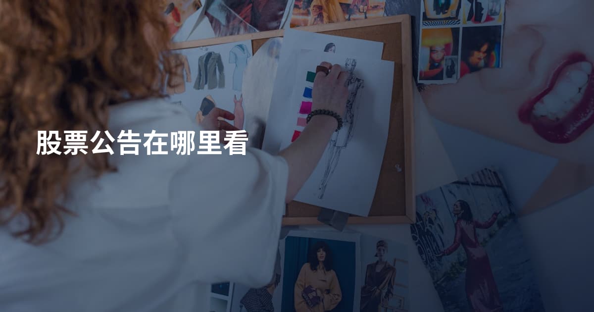 股票公告在哪里看