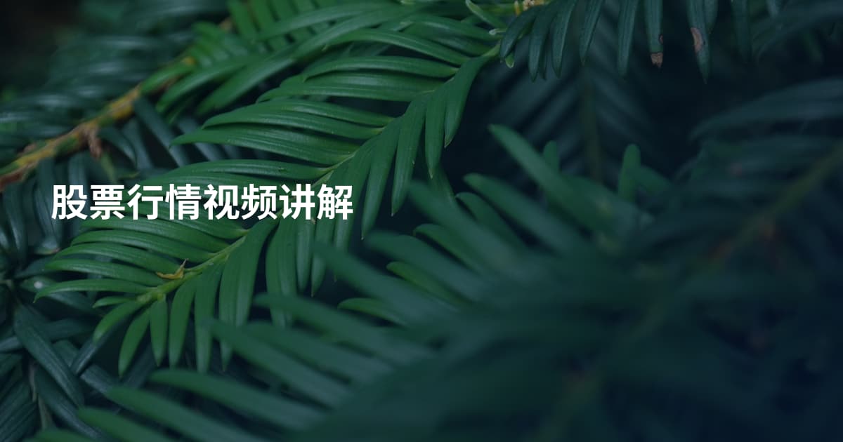 股票行情视频讲解