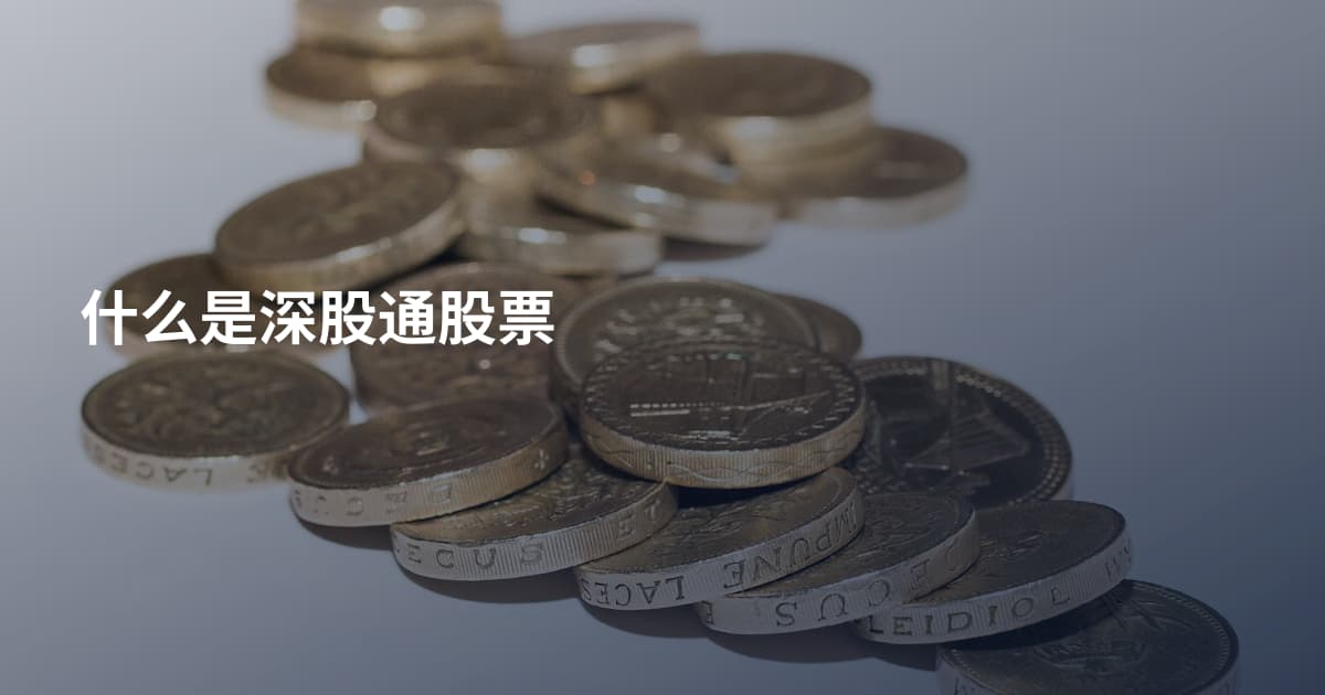 什么是深股通股票