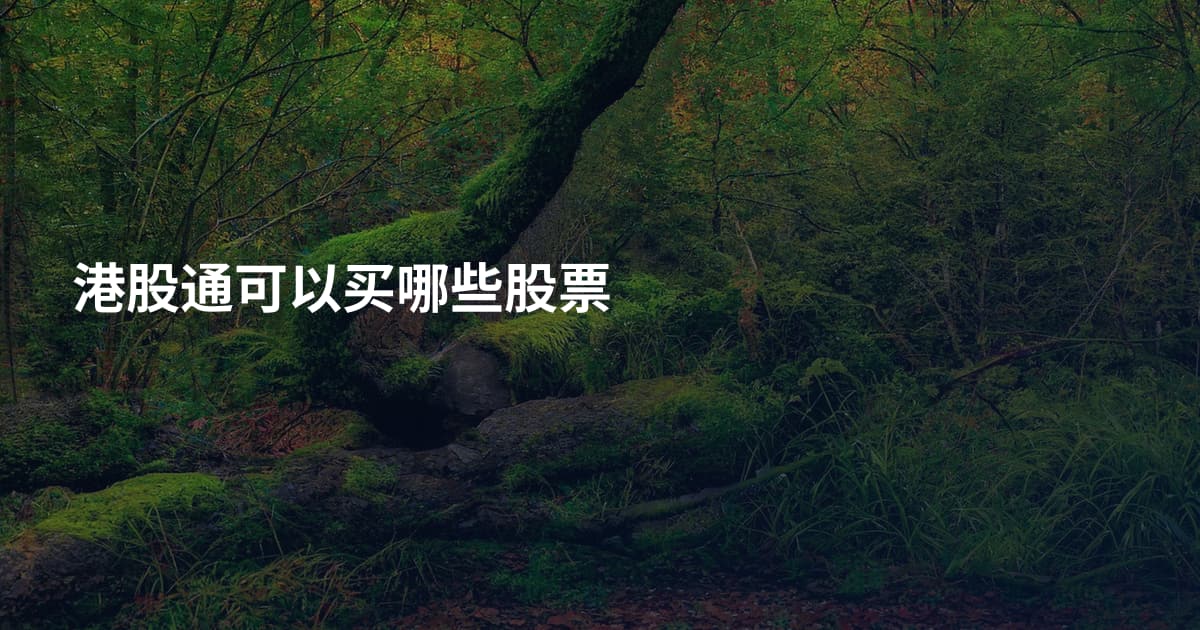 港股通可以买哪些股票