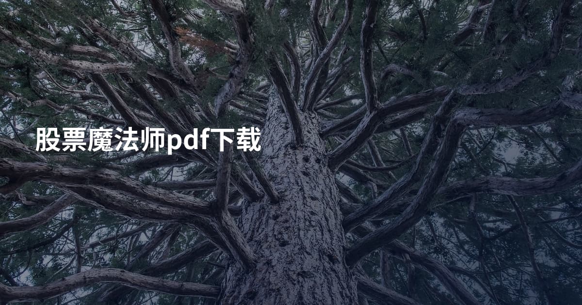 股票魔法师pdf下载