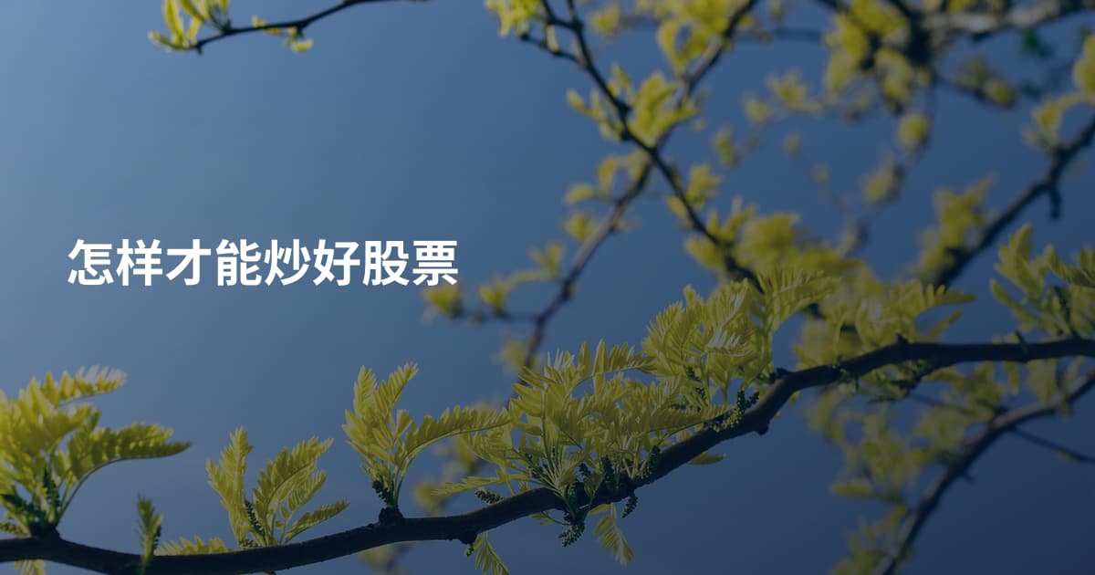 怎样才能炒好股票