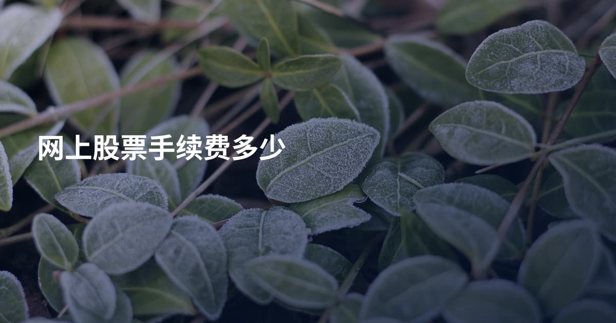 网上股票手续费多少