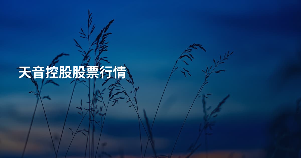 天音控股股票行情