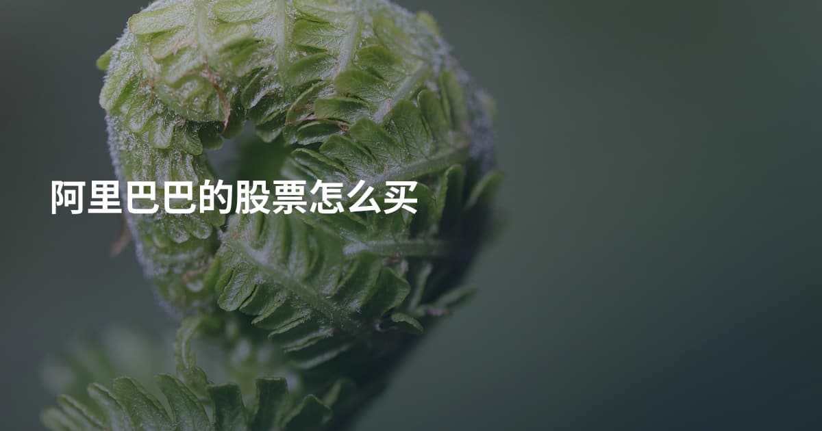 阿里巴巴的股票怎么买
