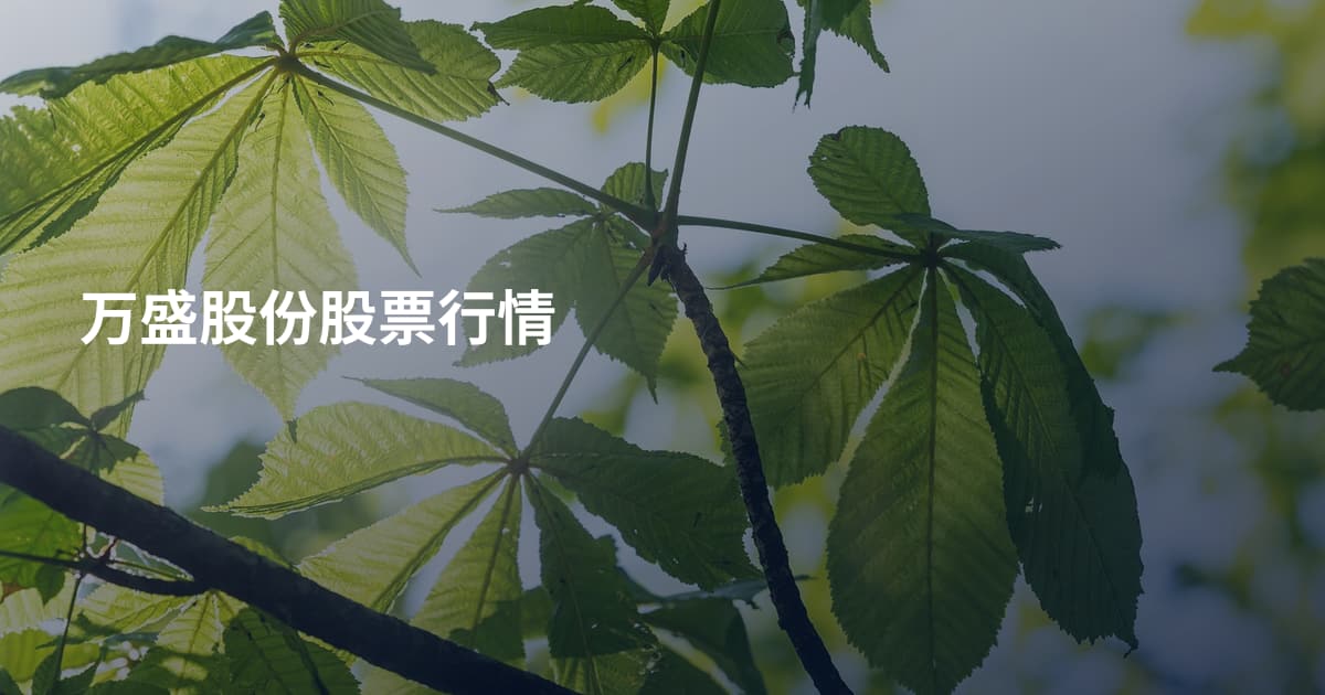 万盛股份股票行情