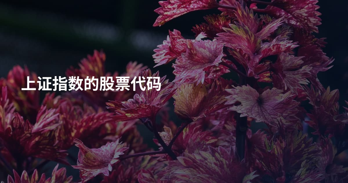 上证指数的股票代码