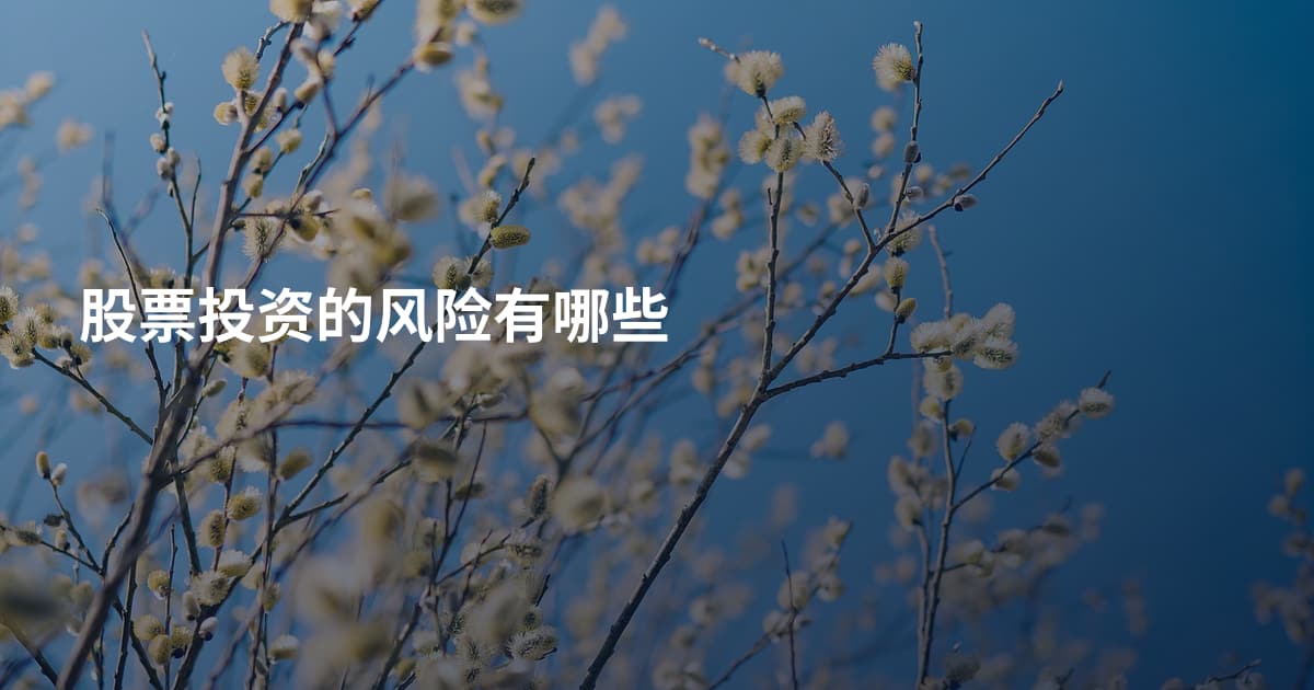 股票投资的风险有哪些