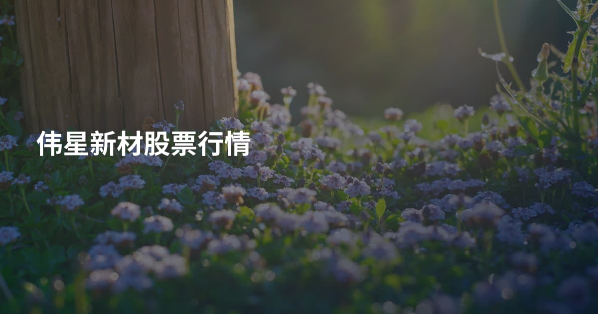 伟星新材股票行情