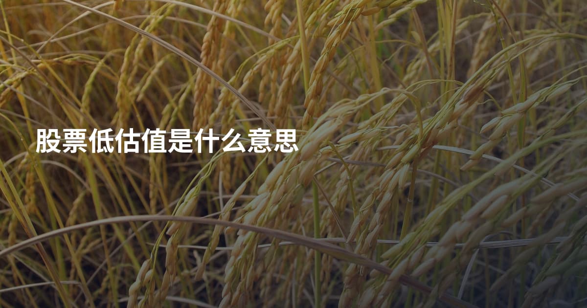 股票低估值是什么意思