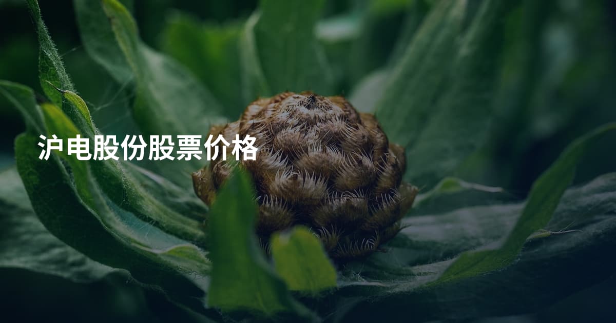 沪电股份股票价格