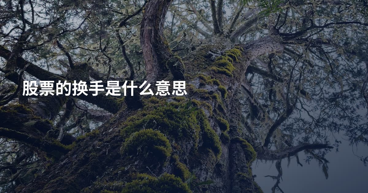 股票的换手是什么意思
