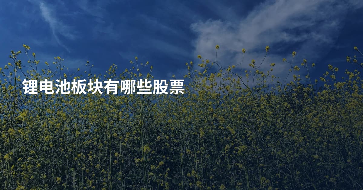 锂电池板块有哪些股票