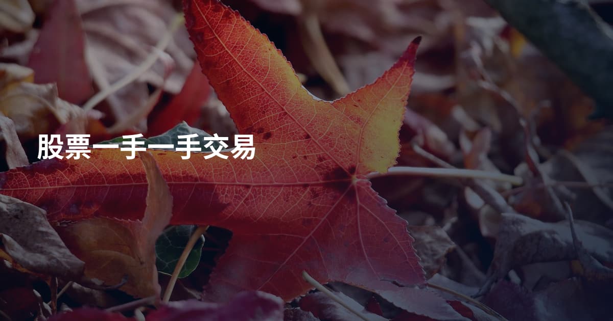 股票一手一手交易