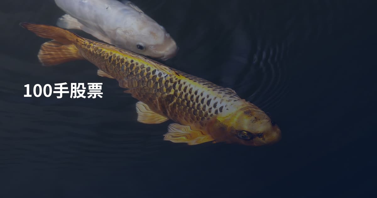100手股票