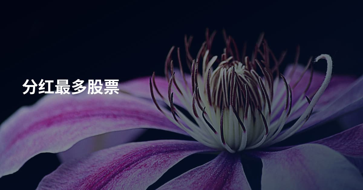 分红最多股票