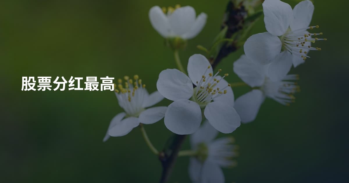股票分红最高