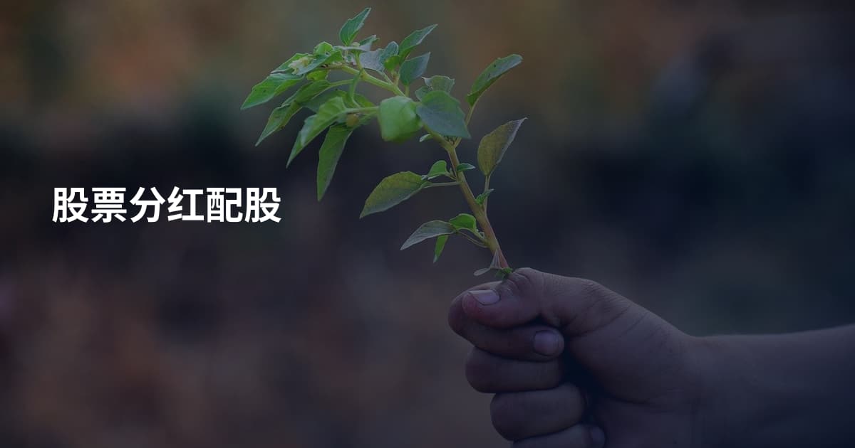股票分红配股