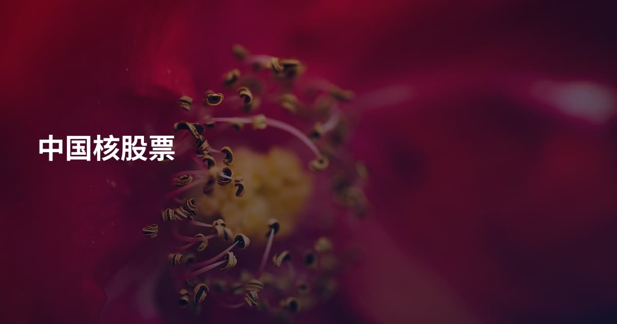 中国核股票