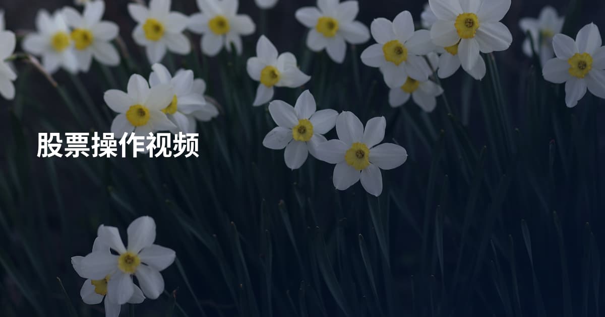 股票操作视频