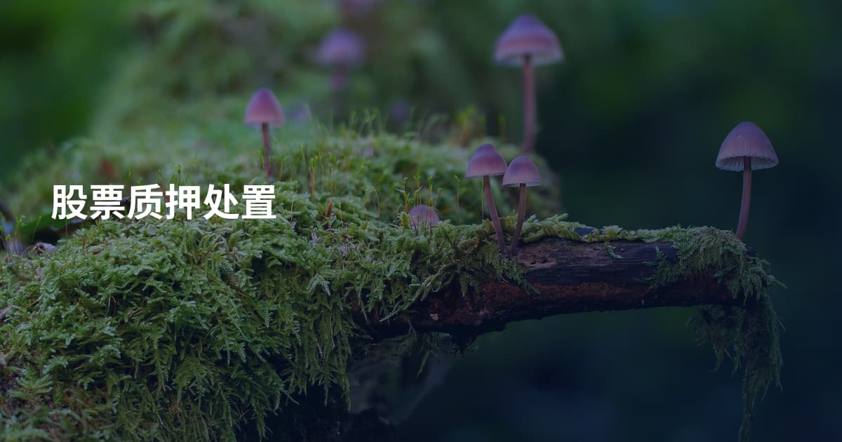 股票质押处置