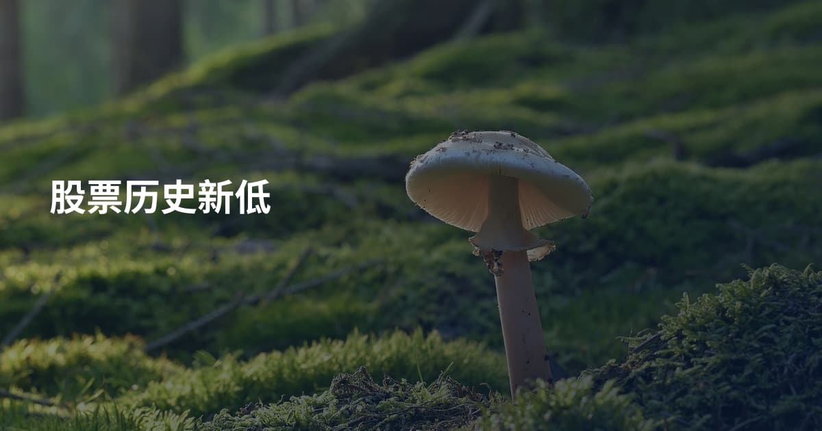 股票历史新低