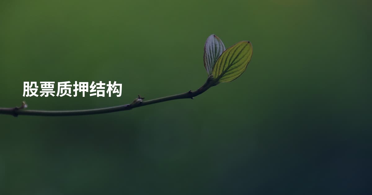 股票质押结构