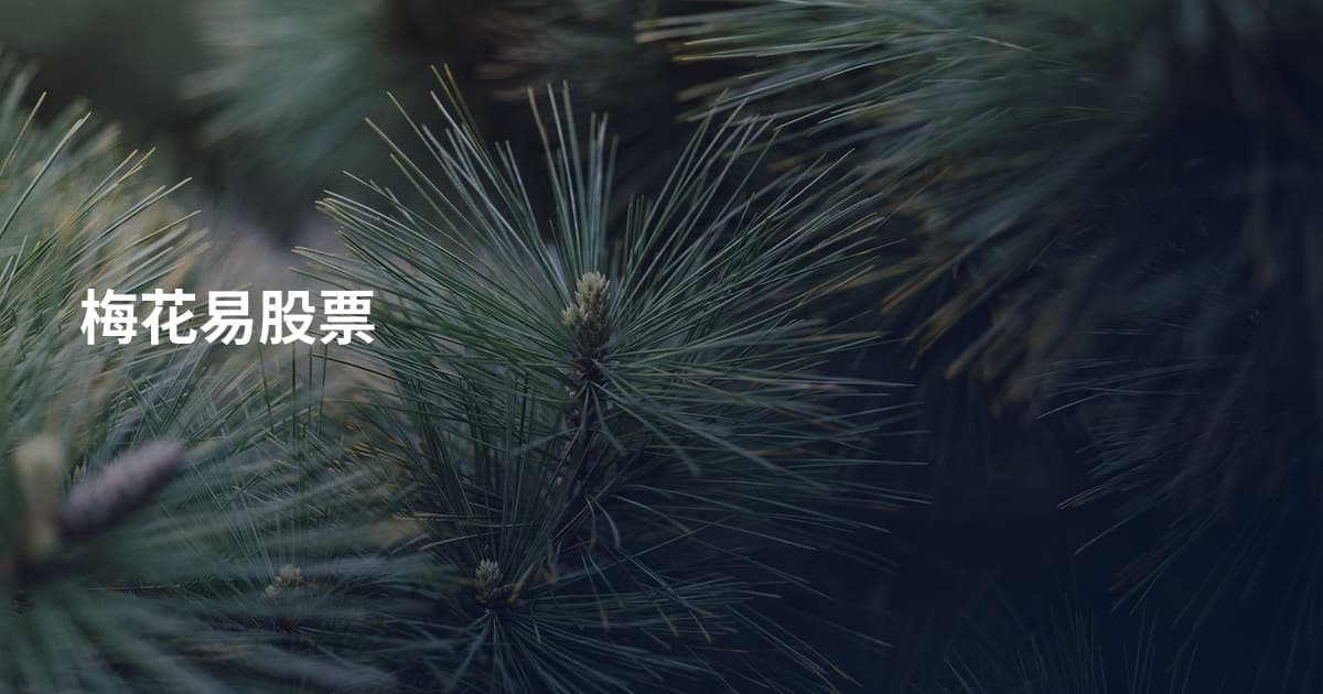 梅花易股票
