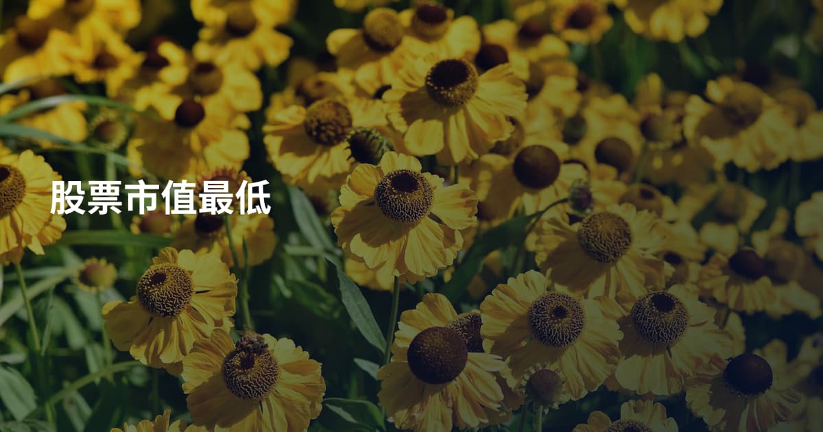 股票市值最低
