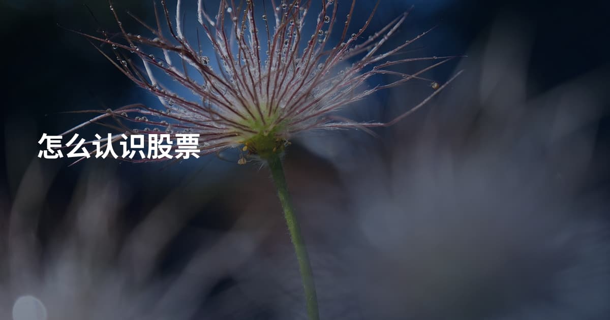 怎么认识股票