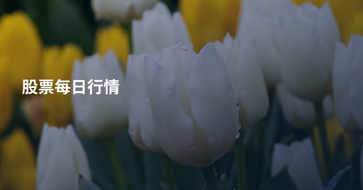 股票每日行情