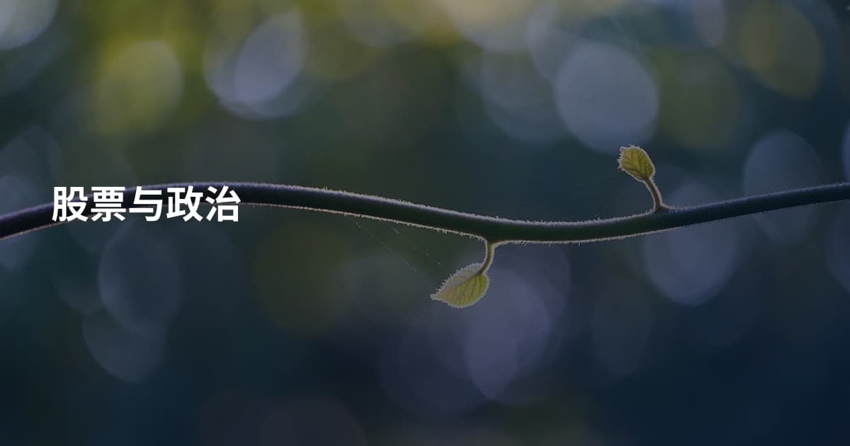 股票与政治