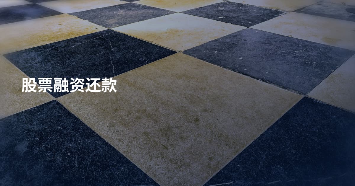 股票融资还款
