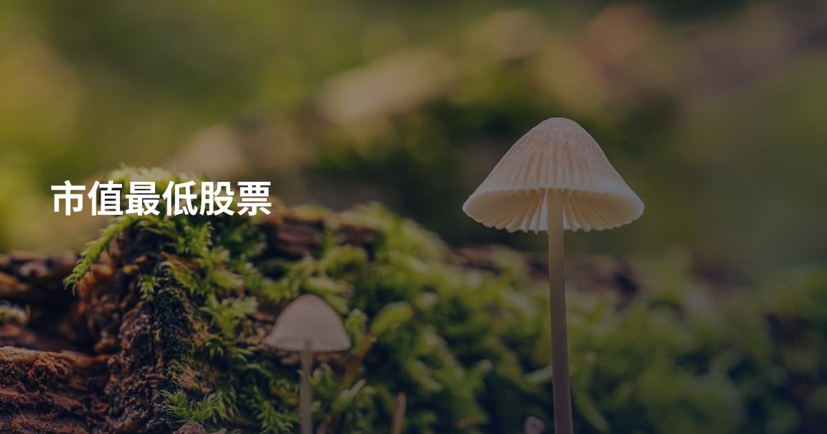 市值最低股票