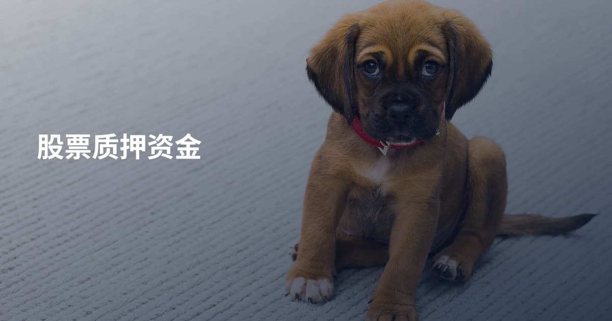 股票质押资金