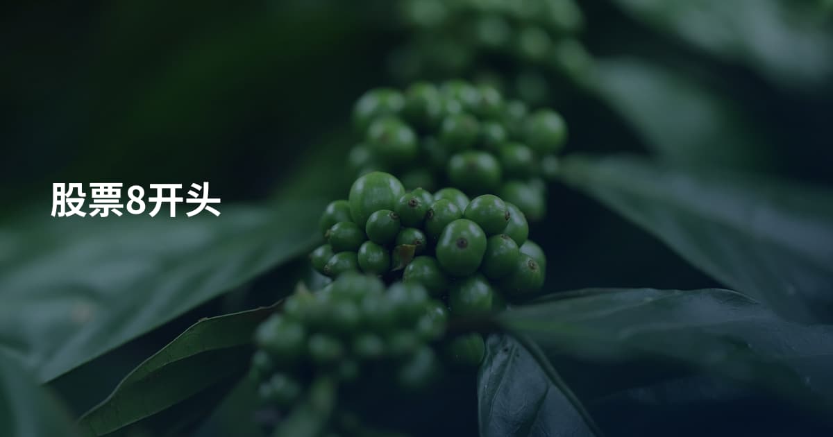 股票8开头