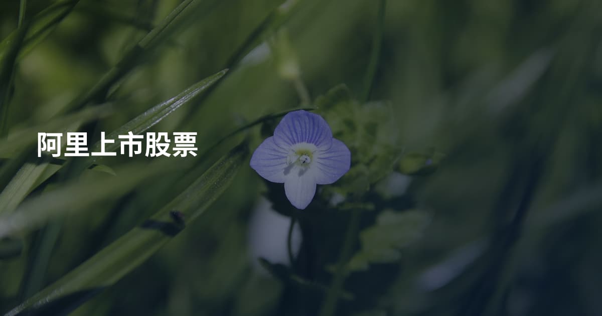 阿里上市股票