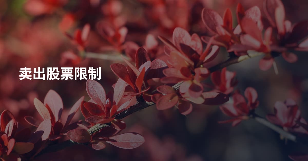 卖出股票限制