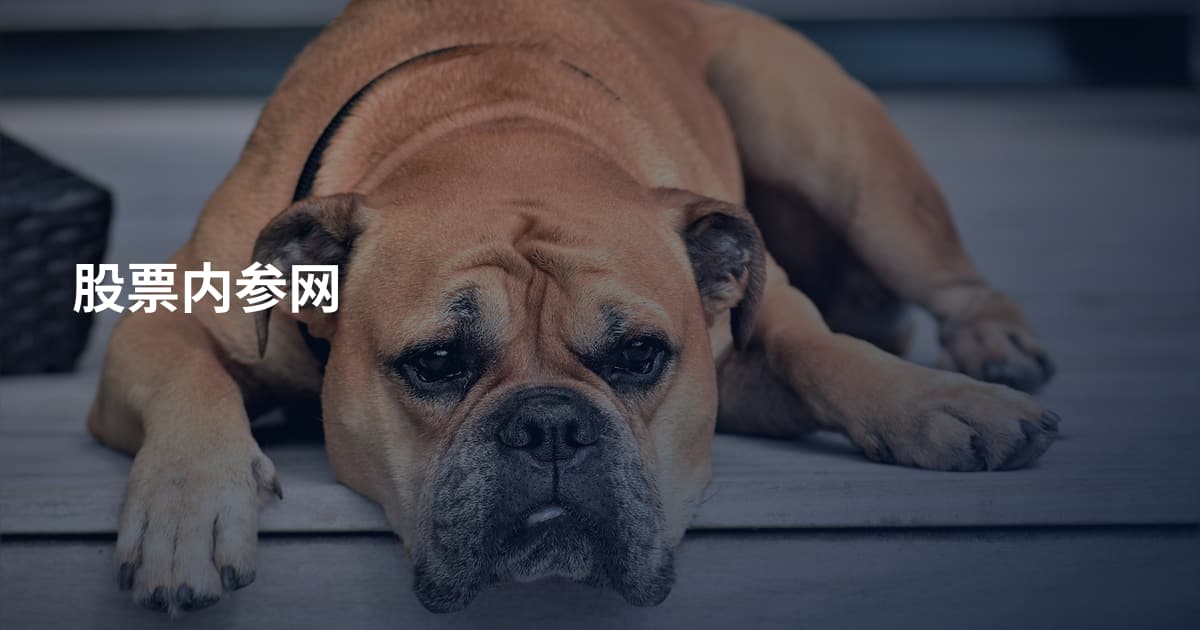 股票内参网