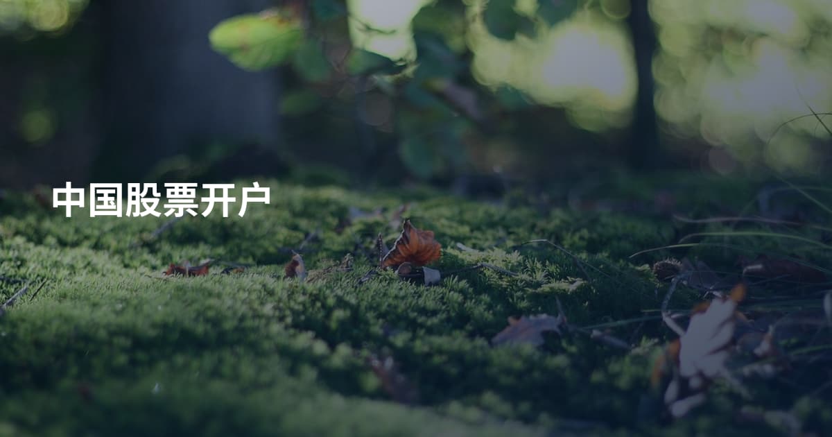 中国股票开户