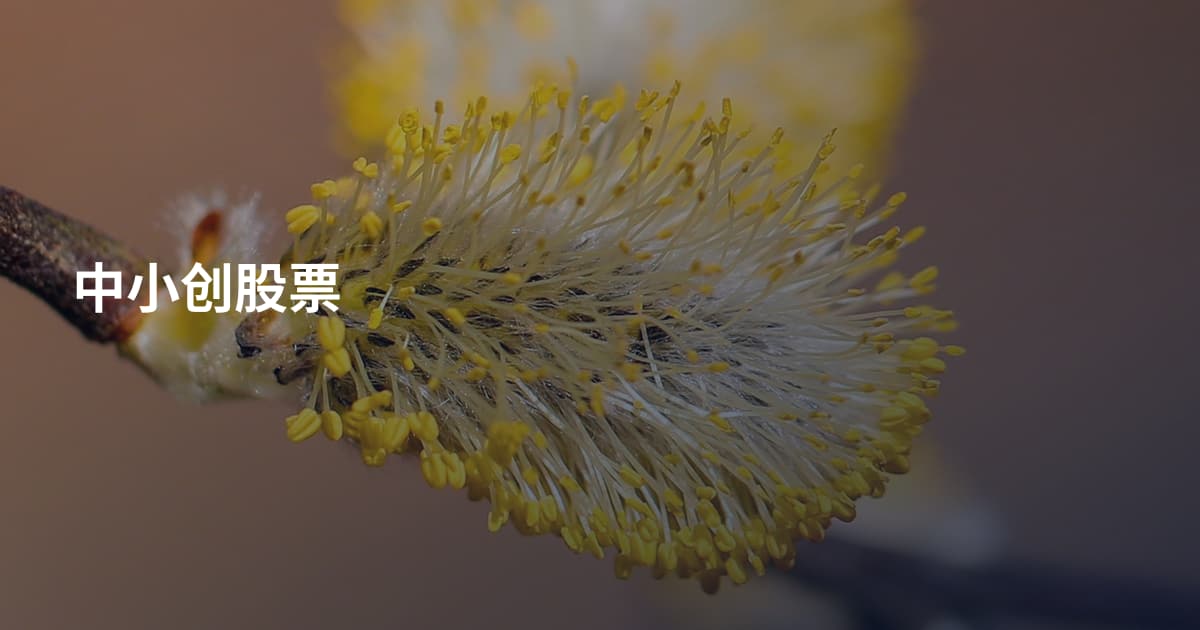 中小创股票