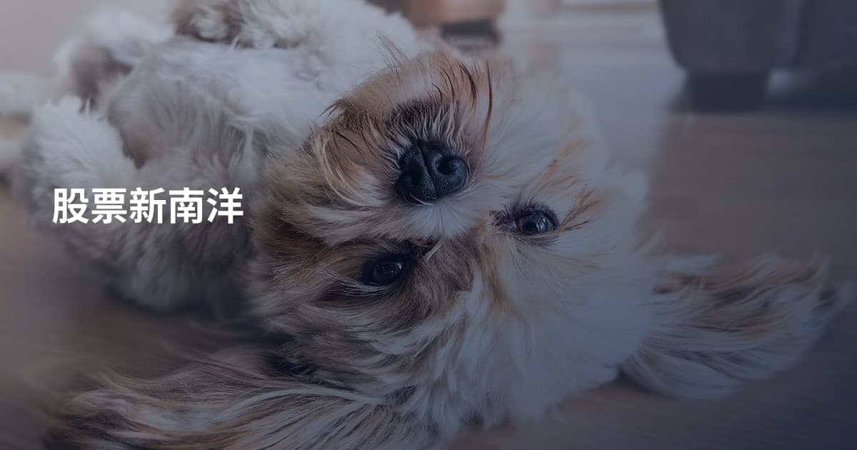 股票新南洋