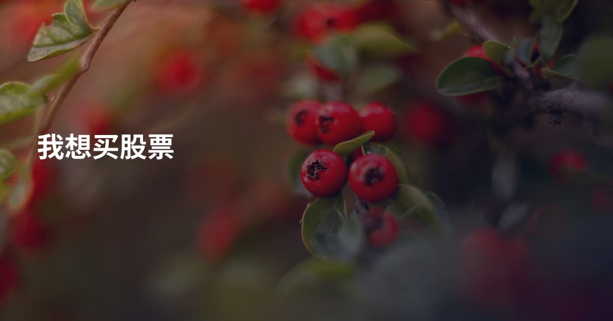 我想买股票