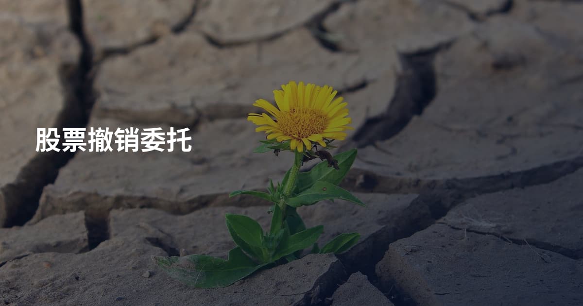股票撤销委托