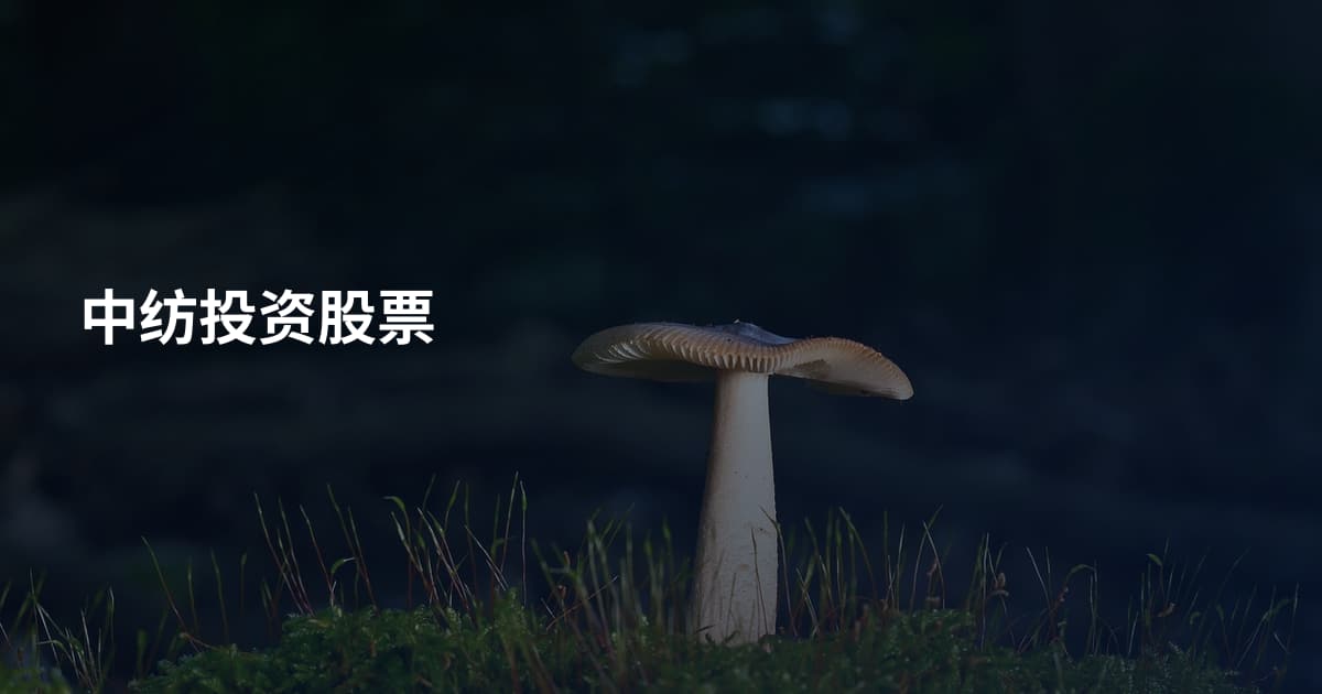 中纺投资股票