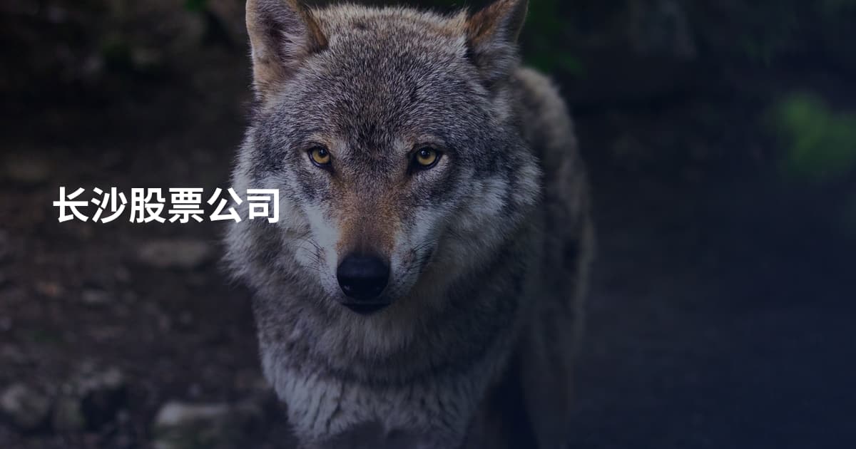长沙股票公司