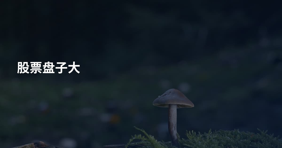 股票盘子大