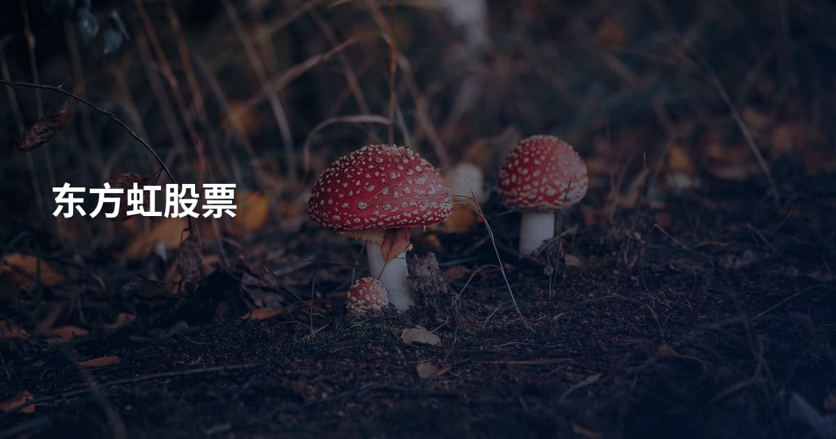 东方虹股票