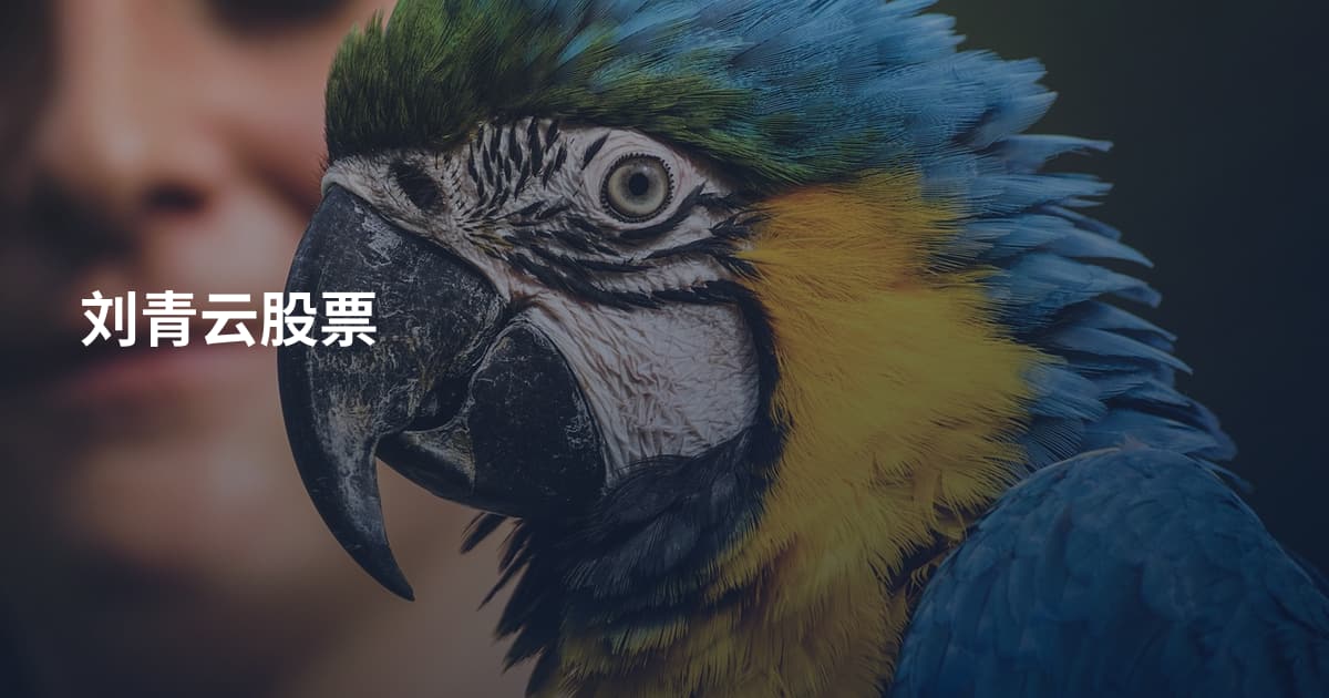 刘青云股票